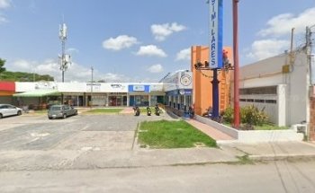 Gonzalez Barragan Alma Delia