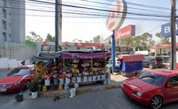 Krystal Dent Colorines