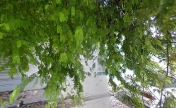 ODONTOLOGIA INTEGRAL