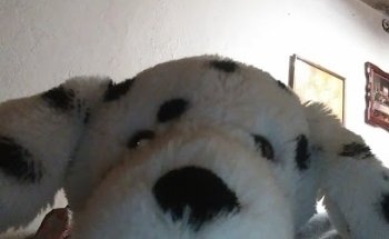 Ortodoncia Total Oaxaca, Modulo Azul