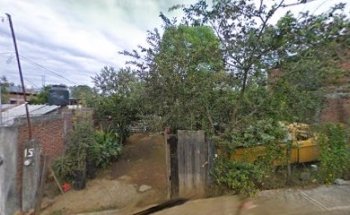 Odontología Avanzada