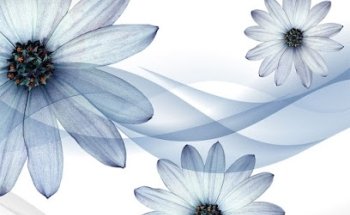 Primecare Dental Highland Park