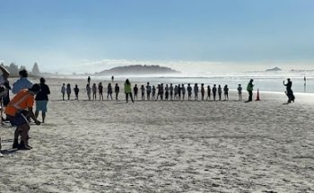 Tooth Fairy Dental - Mt Maunganui