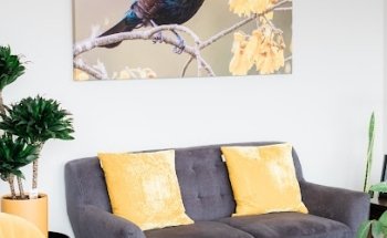 Dental Delight Molesworth Street