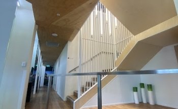 Wellington Dentists Ltd