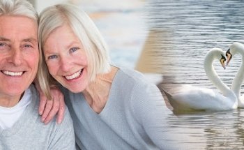 Canal View Dental Surgery