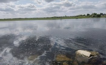 Shannon Orthodontics