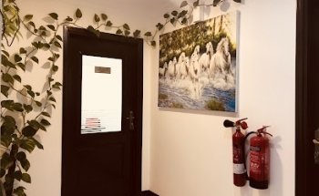 Smile Essentials Dental Clinic L.L.C, Karama Dubai