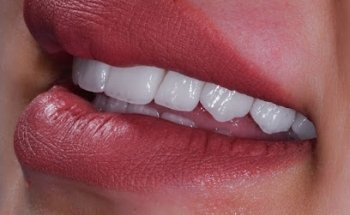 Dr Mohammad Al Rifai I الدكتور محمد الرفاعي