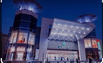 Kids Dentist : Dr Monica