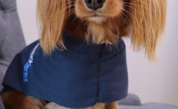 Terrigal Dental + Orthodontics