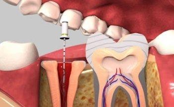Dr. Leila Zamani Dental Practice