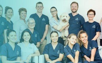 Ethical Dental and Orthodontics
