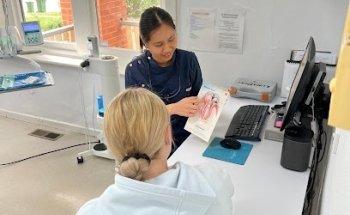 The Fine Tooth Company