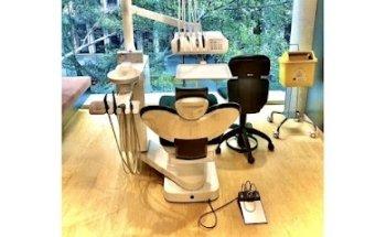 The Affordable Dentist Sydney