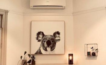 Palmyra Veterinary Hospital