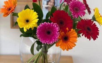 Ettalong Beach Dental