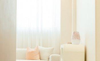 Chantilly Skin & Brow