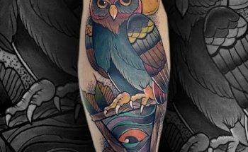 Surfers Paradise Tattoo Studio / Surfers Paradise Collective