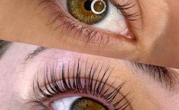 The Lash Studio