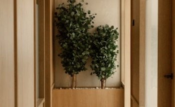 Clínica dental Colonia Jardín