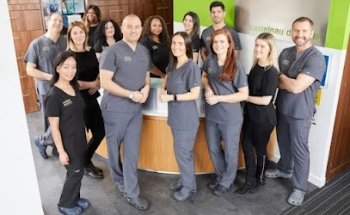 Castelnau Dentists