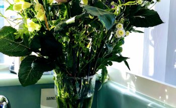 Ashlow Orthodontic Practice