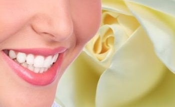 White Rose Dental Studio