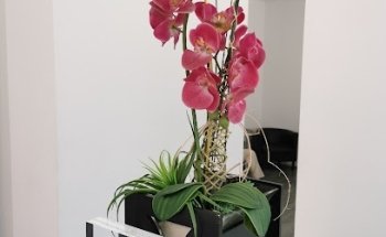 CLINICA DENTAL STUDIO ARANTZA RODRIGUEZ- Fuenlabrada