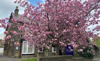 S10 Dental | Private Dentist Sheffield