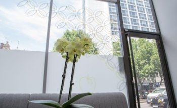 The Dental Centre London