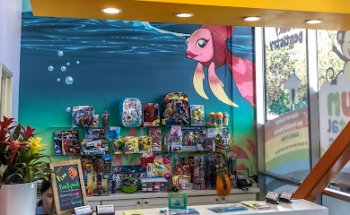 Fun Dental 4 Kids Washington