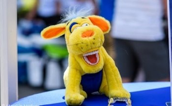 Lane & Associates Family Dentistry - Fayetteville