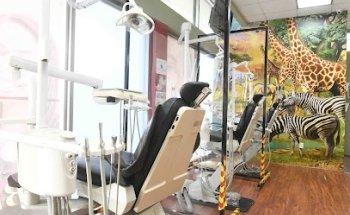 PhD Dental Lynwood Adults, Kids, Implants & Orthodontics