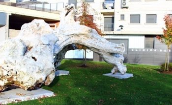 Clínica Dental Ignacio Rodríguez Núñez