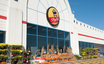 Dr. Dental: Dentistry & Braces