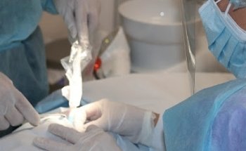 Dra. Gema Maeso Mena