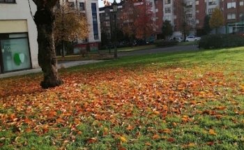 Clínica Dental Fonseca Vega