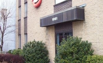 The Stein Dental Group