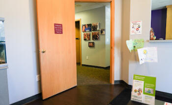 Fortson Dentistry Berkley & Oak Park