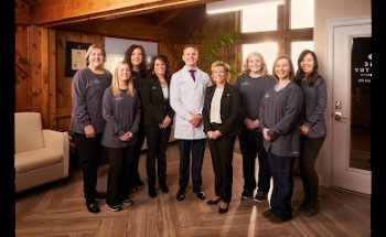 Maine Dentistry - Gray