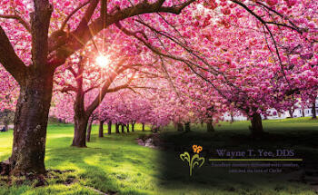 Wayne T. Yee, DDS
