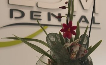 Clínica Dental Lucía de Miguel. LDM Dental