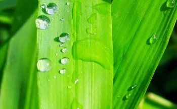 Dental Clinic Natura