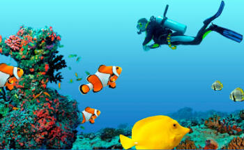 Ocean Dental