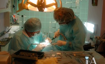 Dr. Juan Luis Ávila - Implantes Dentales Albacete