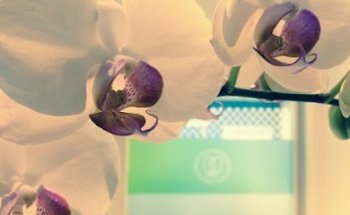 FaesDent Clínica Dental