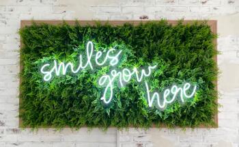 Grin Garden Kids Dental and Orthodontics, Ivy Avanessian Fua DDS