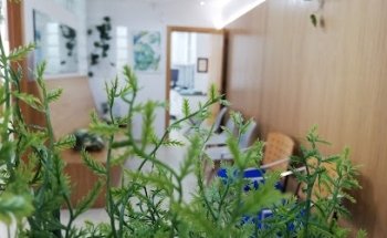 PROPIODENT CLINICA DENTAL JAÉN