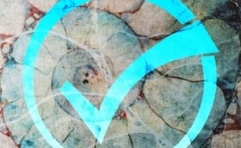 Clínica Dental Caldent Archena